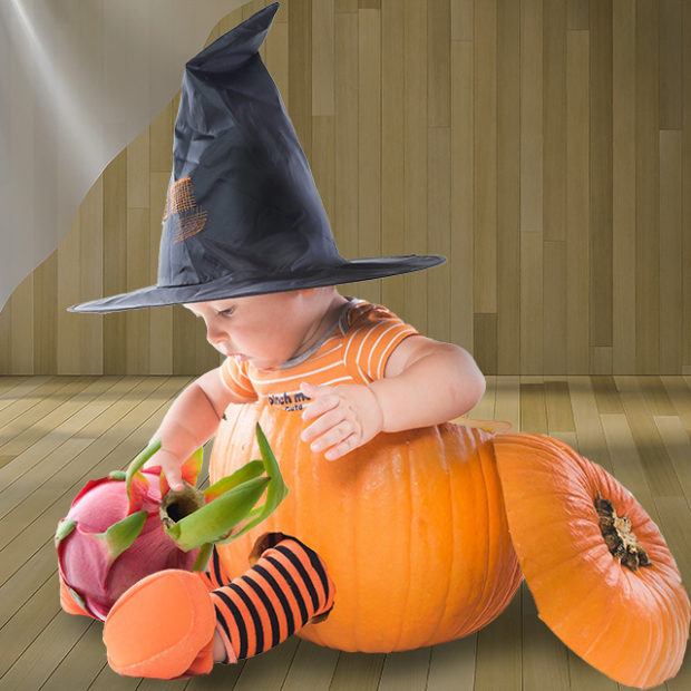 Dragonfruit meet a cute pumpkin
