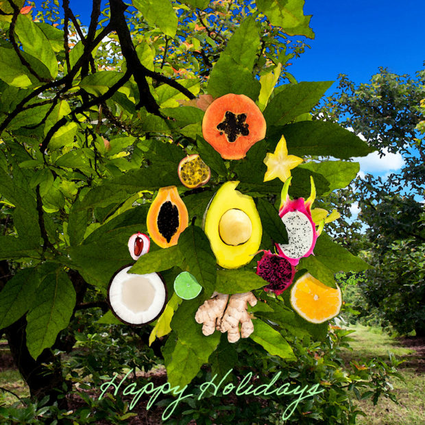 Happy Holidays!