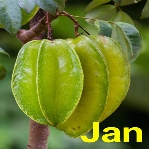 2021 tropical fruit calendar