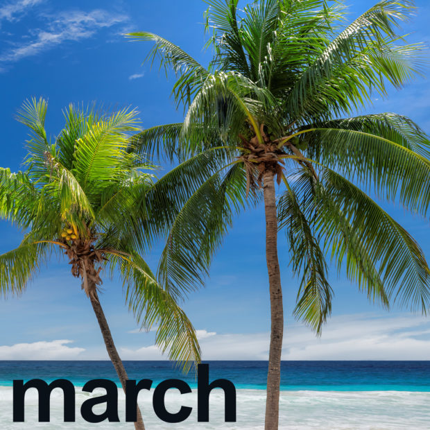 March’s calendar highlights coconuts