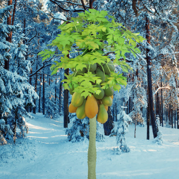 Winter’s stand-out