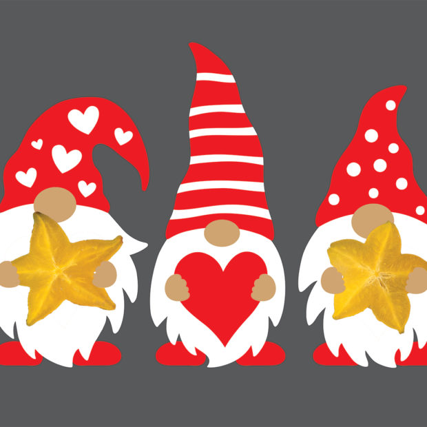 Gnomes know
